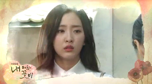 ▲ 내 마음의 꽃비