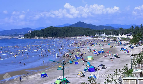 ▲ 서천 춘장대 해수욕장/사진=연합 DB ▲ 서천 춘장대 해수욕장/사진=연합 DB