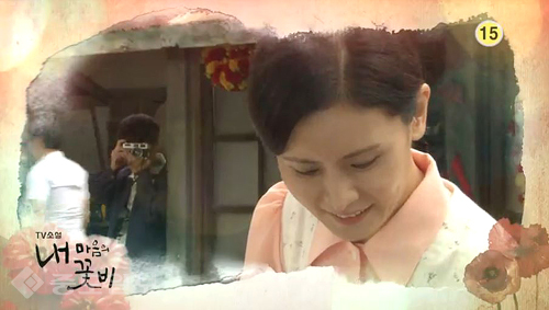 ▲ 내 마음의 꽃비