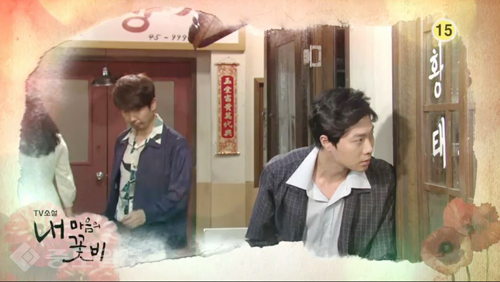 ▲ 내 마음의 꽃비