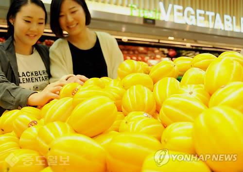 ▲ 성주참외[연합뉴스 자료사진]