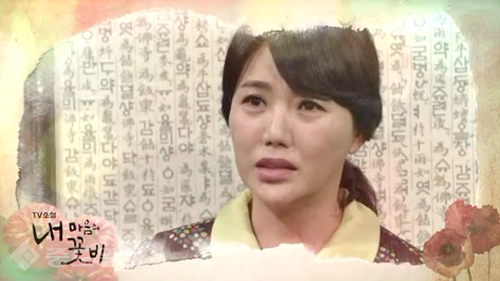 ▲ 내 마음의 꽃비