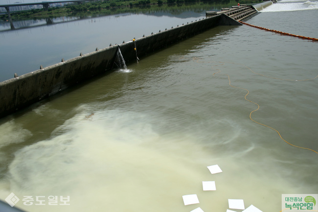 ▲ 대전충남녹색연합 제공