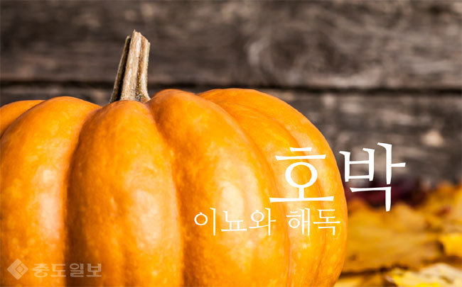 ▲ 사진=게티이미지뱅크