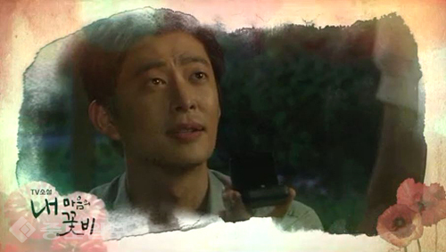 ▲ 내 마음의 꽃비