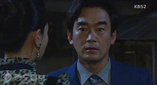 ▲ 내 마음의 꽃비 ▲ 내 마음의 꽃비