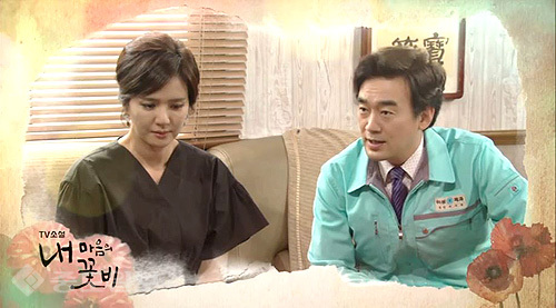 ▲ 내 마음의 꽃비