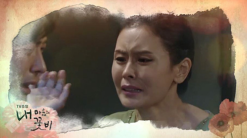 ▲ 내 마음의 꽃비