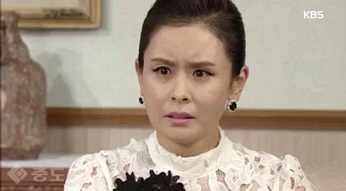 ▲ 내 마음의 꽃비 ▲ 내 마음의 꽃비