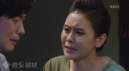 ▲ 내 마음의 꽃비 ▲ 내 마음의 꽃비