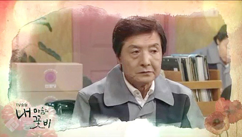 ▲ 내 마음의 꽃비 ▲ 내 마음의 꽃비