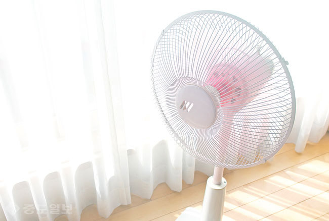 ▲게이이미지뱅크 ▲게이이미지뱅크