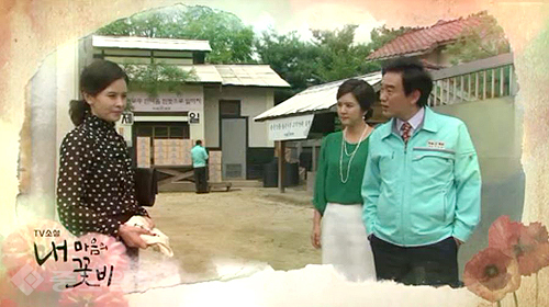 ▲ 내 마음의 꽃비