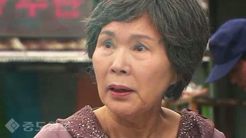 ▲ 내 마음의 꽃비