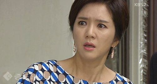 ▲ 내 마음의 꽃비 ▲ 내 마음의 꽃비