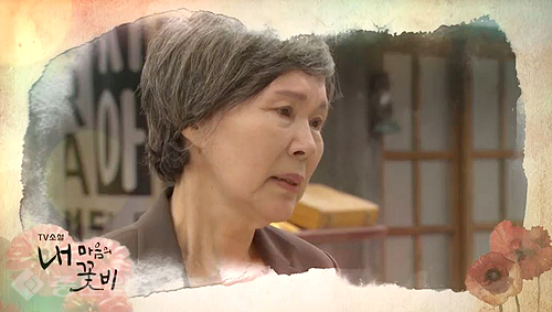 ▲ 내 마음의 꽃비 ▲ 내 마음의 꽃비