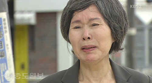 ▲ 내 마음의 꽃비 ▲ 내 마음의 꽃비