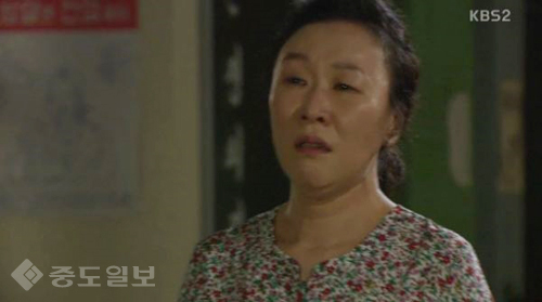 ▲ 내 마음의 꽃비