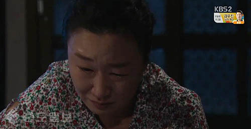 ▲ 내 마음의 꽃비