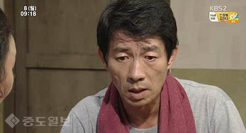 ▲ 내 마음의 꽃비