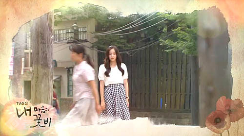 ▲ 내 마음의 꽃비