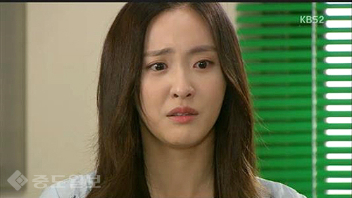 ▲ 내 마음의 꽃비