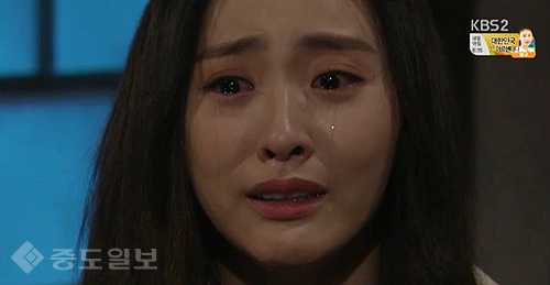 ▲ 내 마음의 꽃비