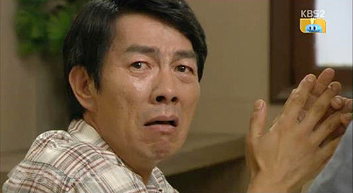 ▲ 내 마음의 꽃비