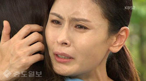 ▲ 내 마음의 꽃비