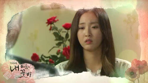 ▲ 내 마음의 꽃비