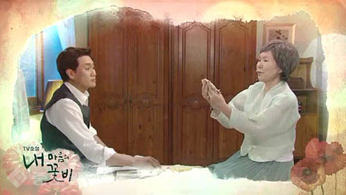 ▲ 내 마음의 꽃비