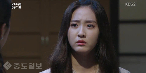 ▲ 내 마음의 꽃비