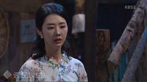 ▲ 내 마음의 꽃비