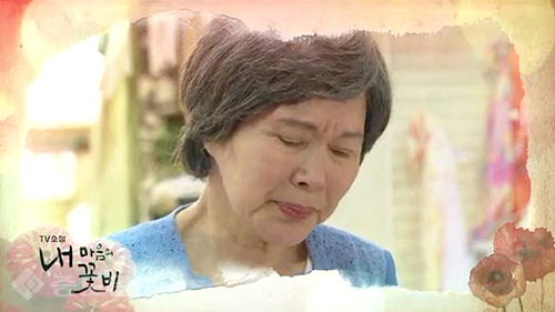 ▲ 내 마음의 꽃비