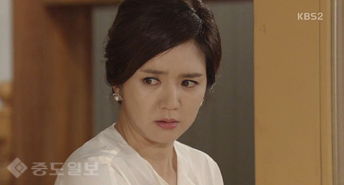 ▲ 내 마음의 꽃비