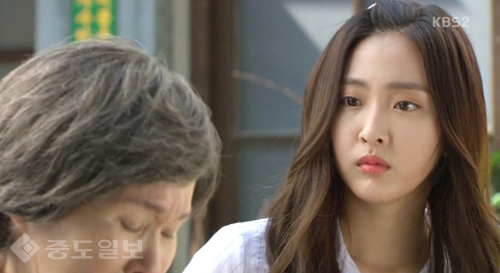 ▲ 내 마음의 꽃비