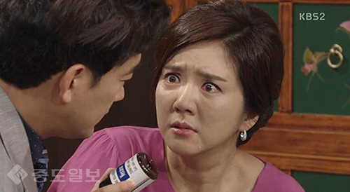 ▲ 내 마음의 꽃비