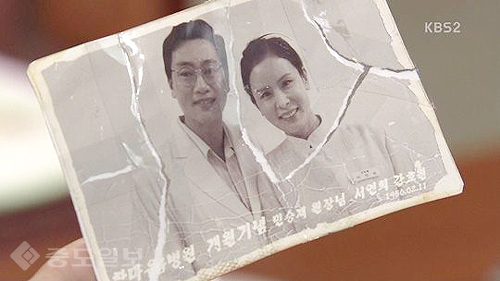 ▲ 내 마음의 꽃비