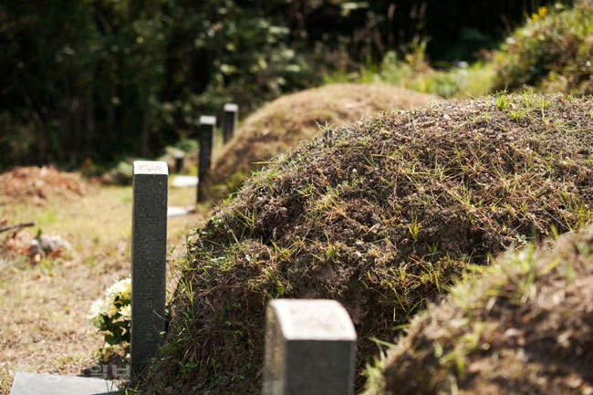 ▲ 사진=게티 이미지 뱅크 ▲ 사진=게티 이미지 뱅크