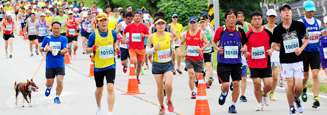 ▲ 
<br />　이봉주 보스턴 제패기념 제16회 홍성 마라톤 대회가 28일 오전 홍성군 일원의 순환 코스에서 열려 개인 하프, 10㎞ 경기에 참가한 선수들이 힘찬 레이스를 펼치고 있다. 
<br />　홍성=박갑순 기자 photopgs@