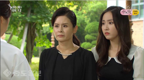 ▲ 내 마음의 꽃비