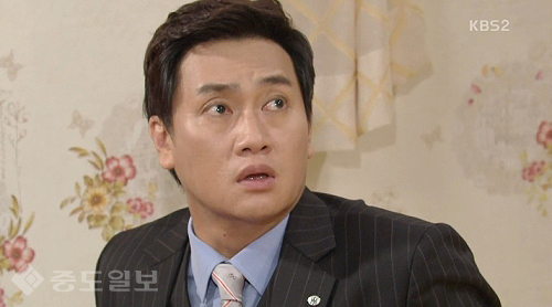 ▲ 내 마음의 꽃비