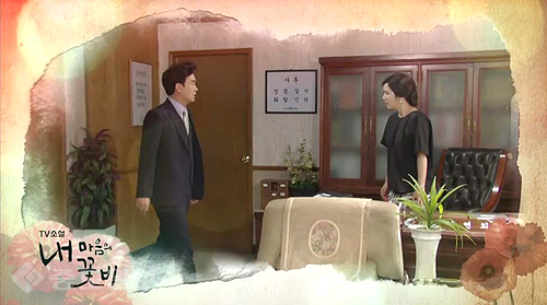 ▲ 내 마음의 꽃비