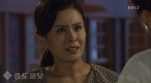 ▲ 내 마음의 꽃비