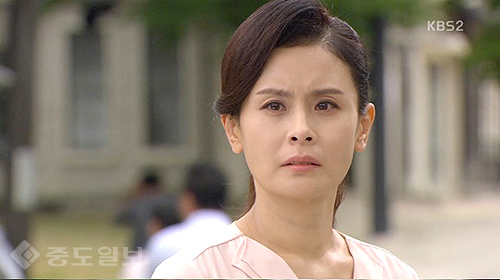 ▲ 내 마음의 꽃비