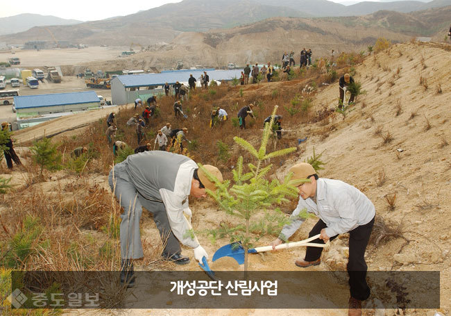 ▲개성공단산림산업. 사진=산림청 제공