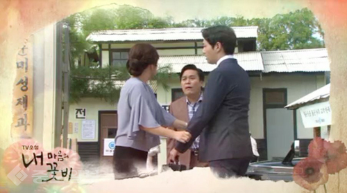 ▲ 내 마음의 꽃비