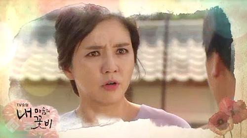 ▲ 내 마음의 꽃비