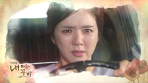 ▲ 내 마음의 꽃비