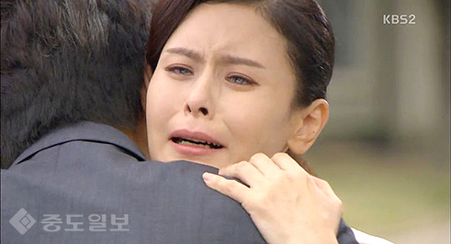 ▲ 내 마음의 꽃비